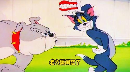 猫和老鼠搞笑台词