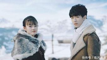 文淇娱乐圈小说