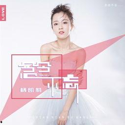 杨凯莉娱乐公司,引领娱乐产业新潮流