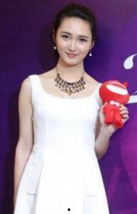 杨晓丽演员,光影交织下的璀璨星途